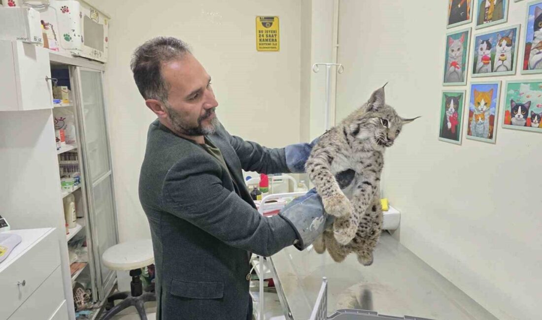 Yozgat’ın Aydıncık ilçesinde meydana gelen bir kaza sonucunda yaralanan bir