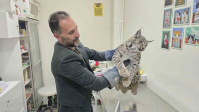 Yozgat’ın Aydıncık ilçesinde meydana gelen bir kaza sonucunda yaralanan bir