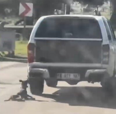 Muğla’nın Milas ilçesinde bir köpeğin araç arkasında sürüklendiği görüntülerle ilgili