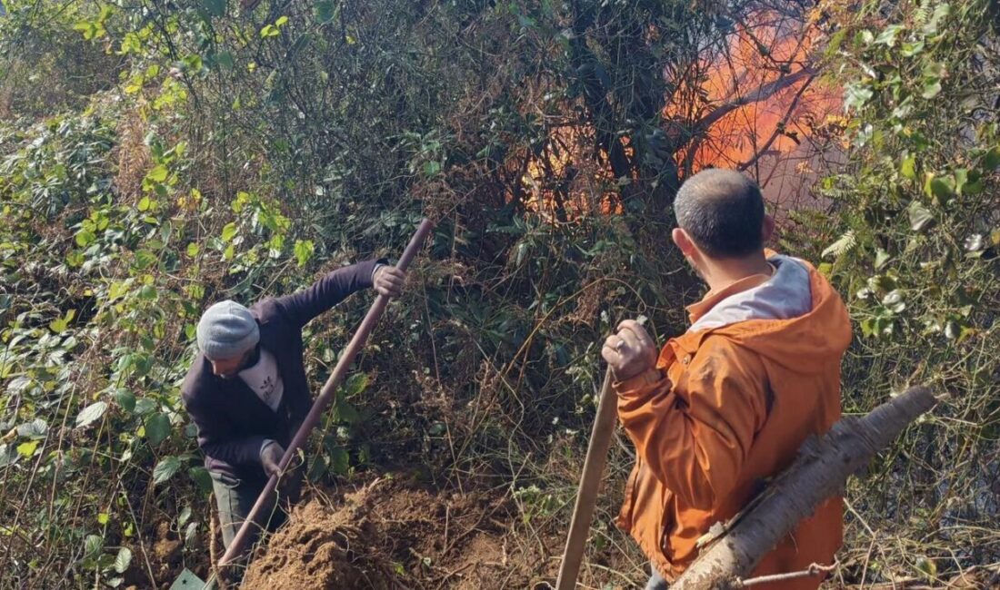 Artvin’in Hopa ilçesinde sabah erken saatlerde başlayan orman yangını, rüzgarın