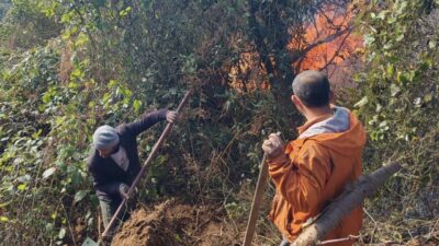 Artvin’in Hopa ilçesinde sabah erken saatlerde başlayan orman yangını, rüzgarın