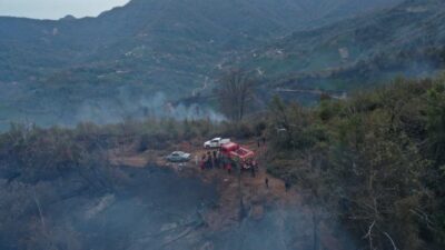 Artvin Valisi Turan Ergün, Hopa ilçesindeki orman yangınının kısmen kontrol