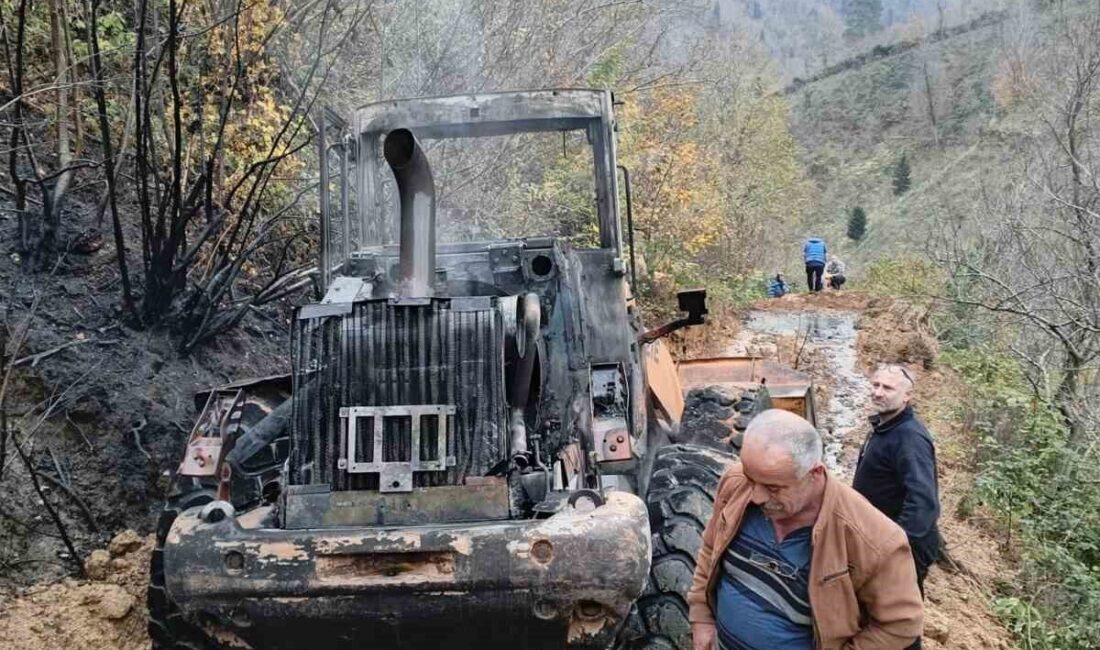 Artvin’in Borçka ilçesine bağlı Demirciler köyünde bir iş makinesi yangın
