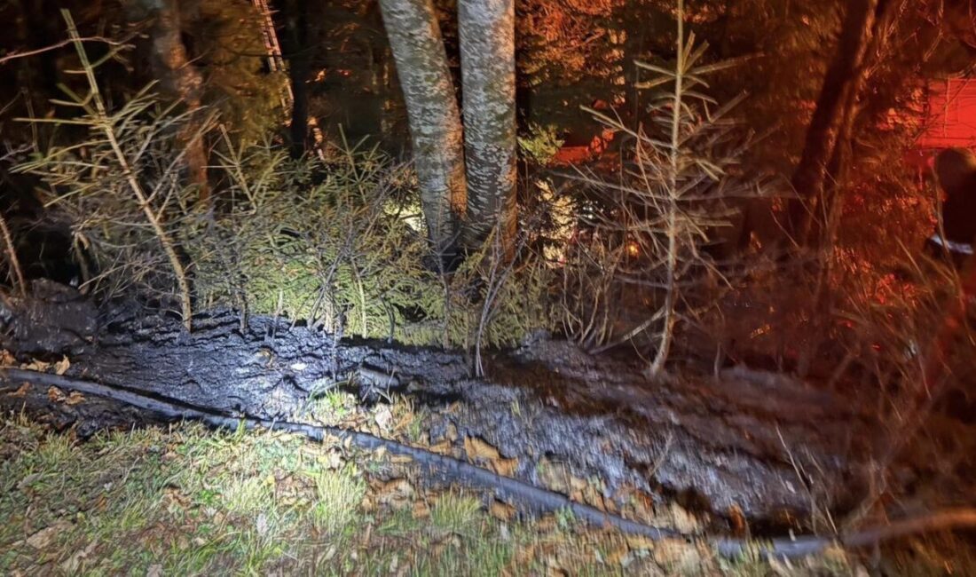 Artvin’de tarım arazisinde başlayan yangın, ekiplerin zamanında müdahalesi sayesinde hızla