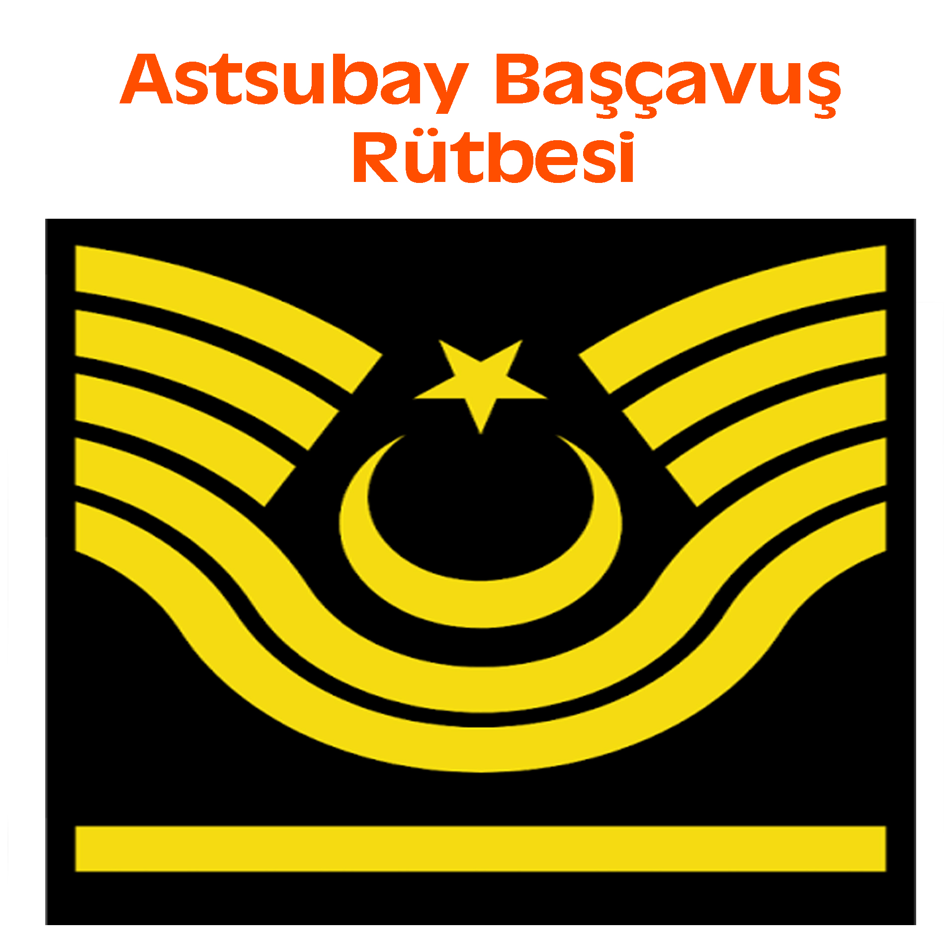 astsubay başçavuş rütbe