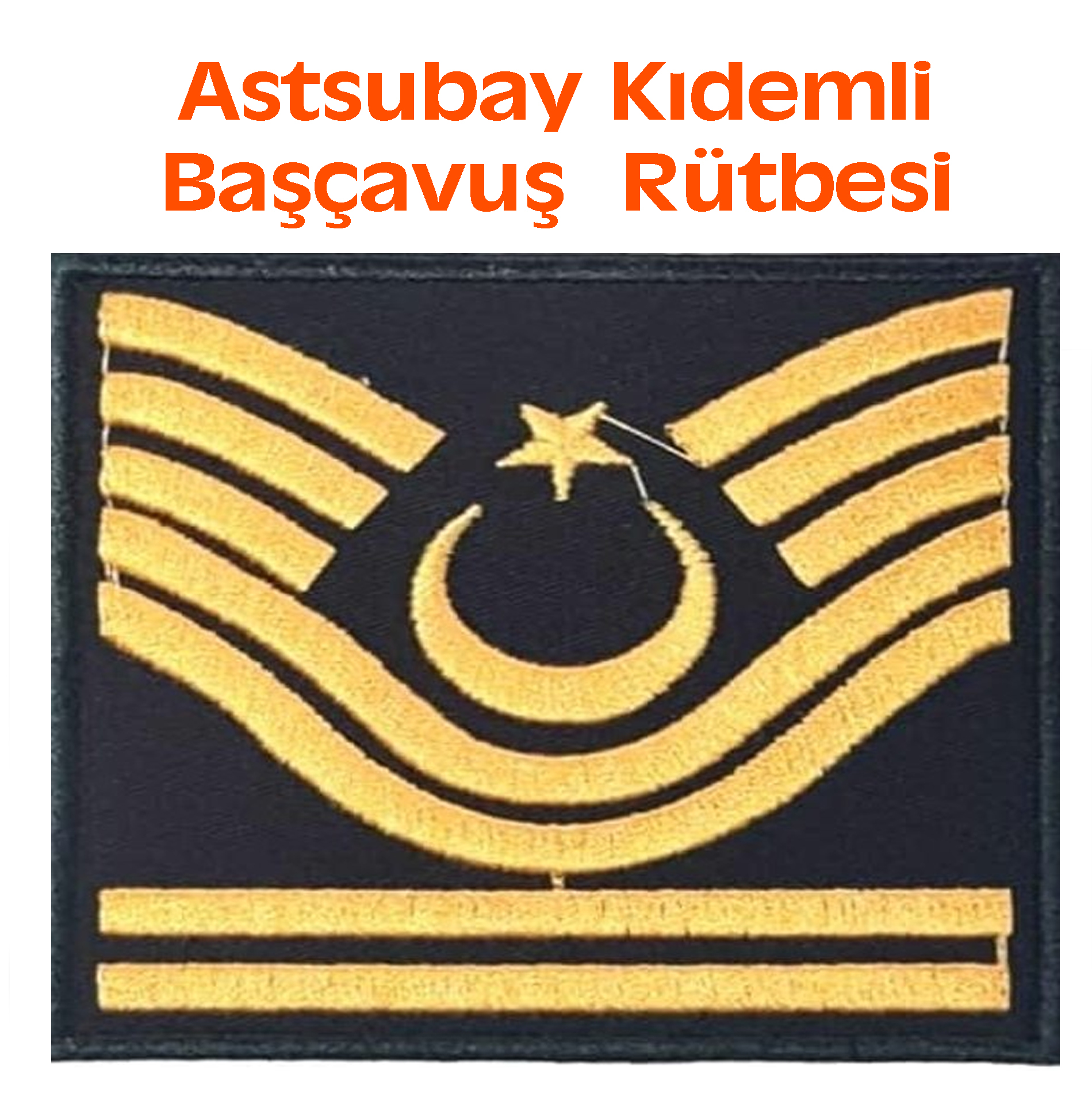 astsubay kıdemli başçavuş rütbe