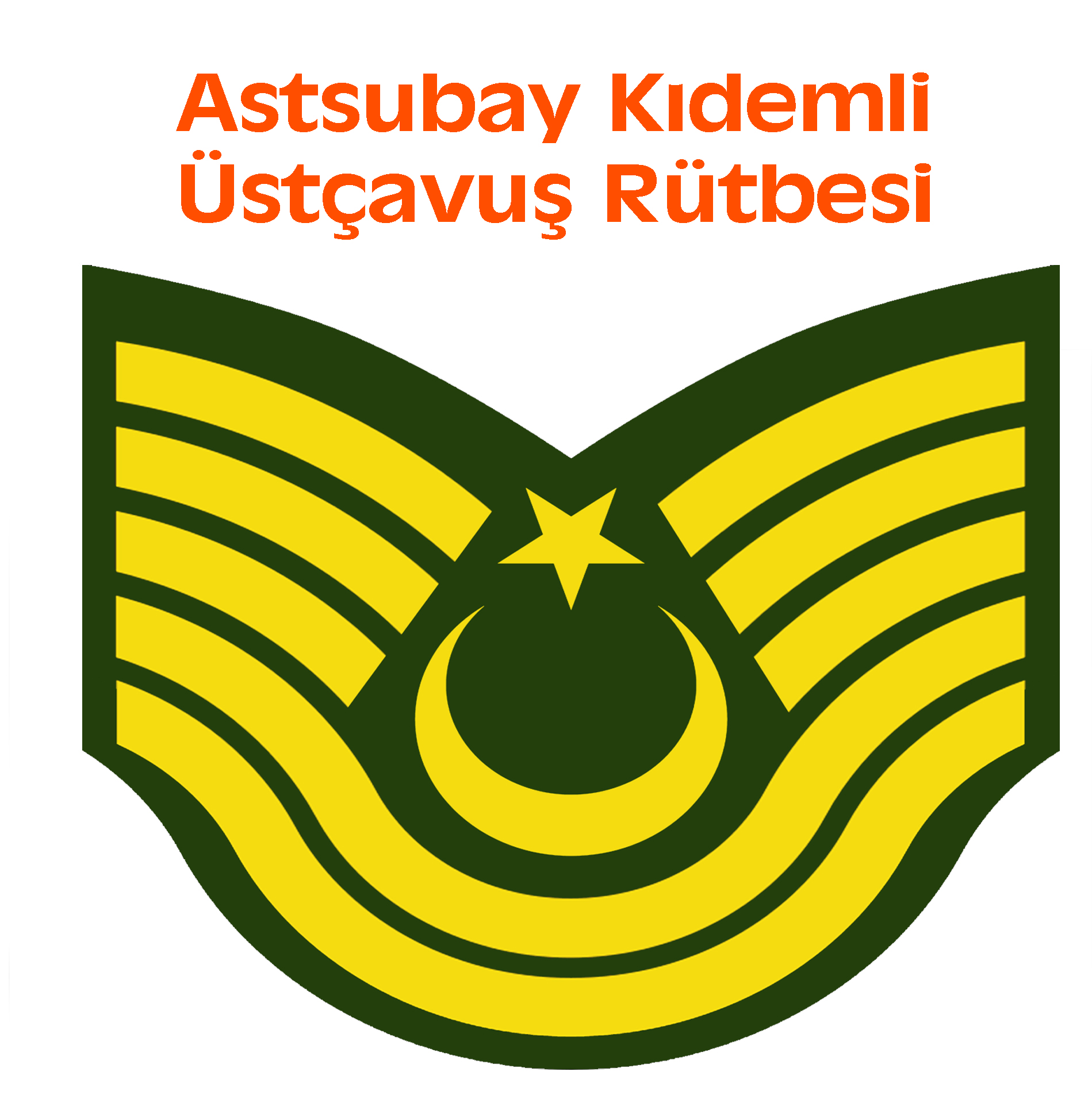 astsubay kıdemli üstçavuş rütbe
