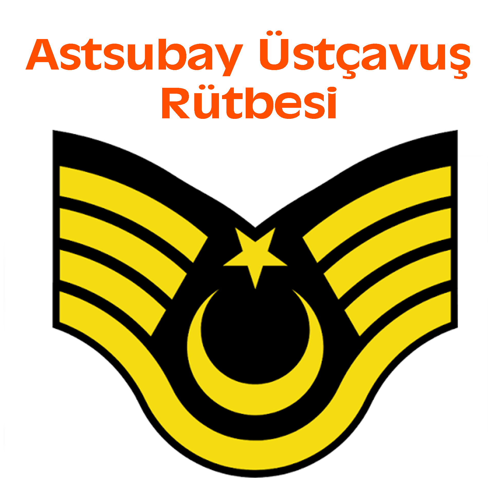 astsubay üstçavuş rütbe