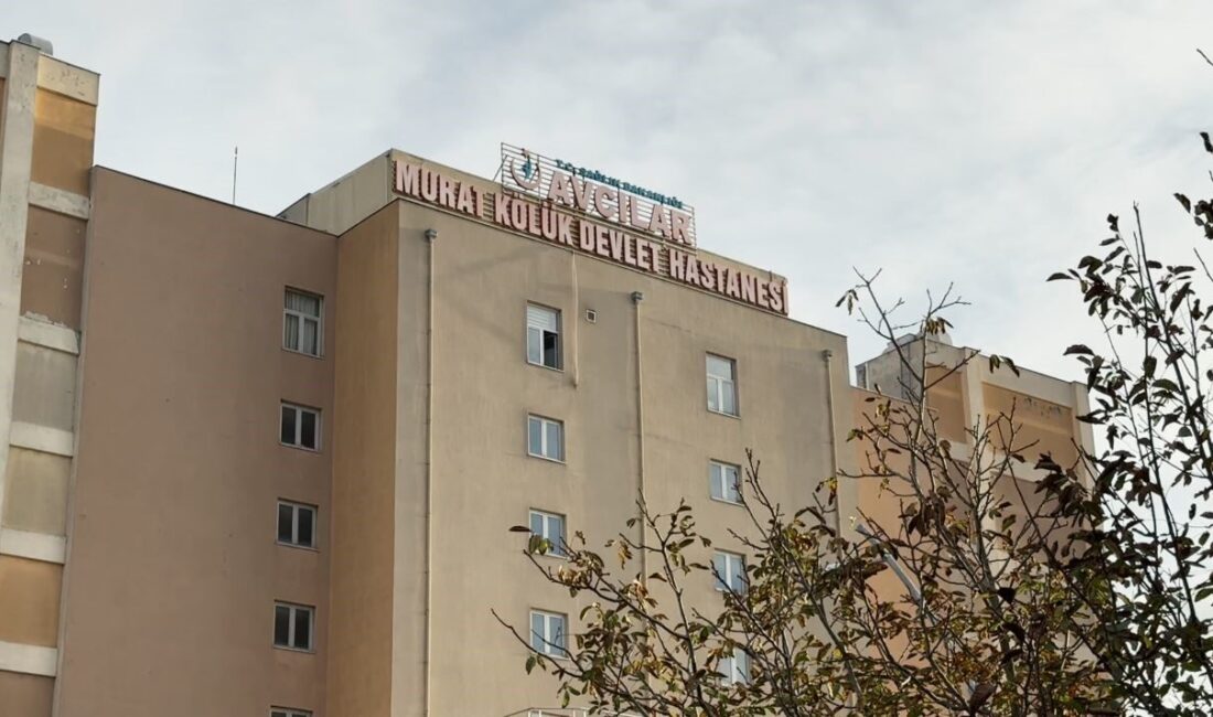 Avcılar, İstanbul’da düzenlenen bir hayır panayırında tüketilen tavuklu pilavdan yedikten