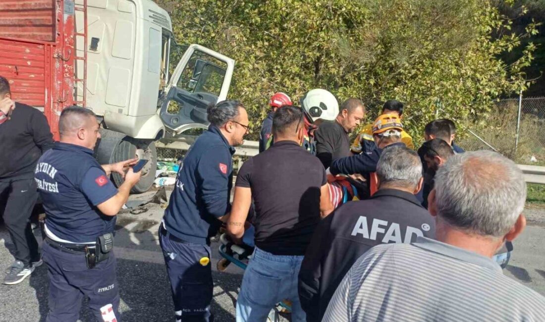 Aydın’ın Germencik ilçesinde, Kızılcapınar mevkiinde meydana gelen trafik kazasında, bir