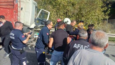 Aydın’ın Germencik ilçesinde, Kızılcapınar mevkiinde meydana gelen trafik kazasında, bir