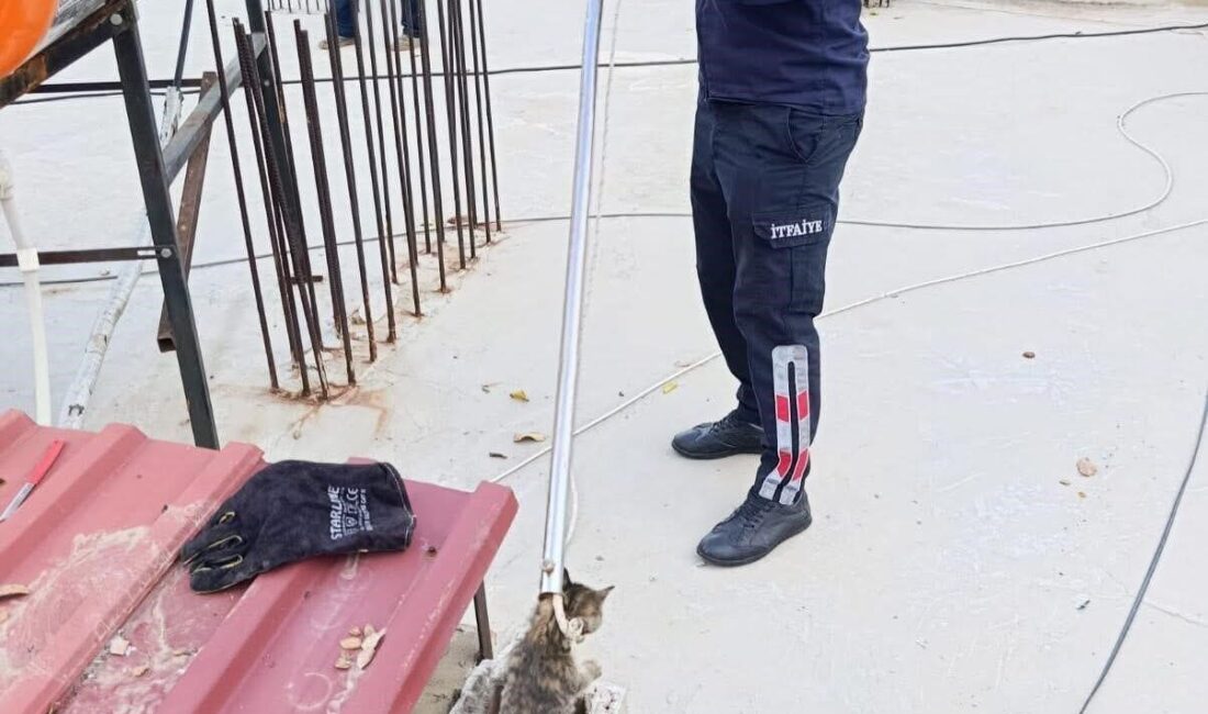 Sarıgöl’de bir evin bacasına sıkışan kedi, itfaiye ekiplerinin özverili çalışması
