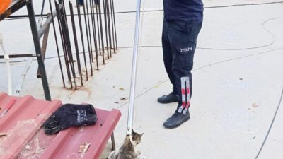 Sarıgöl’de bir evin bacasına sıkışan kedi, itfaiye ekiplerinin özverili çalışması