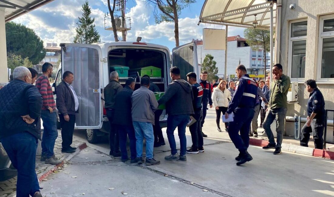 Manisa’nın Sarıgöl ilçesinde, üzüm bağında oynayan üç yaşındaki Emirhan Bağcı