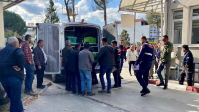 Manisa’nın Sarıgöl ilçesinde, üzüm bağında oynayan üç yaşındaki Emirhan Bağcı