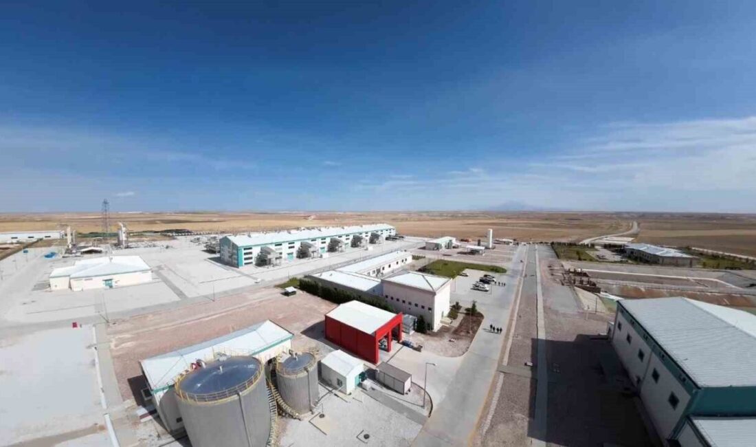 Enerji ve Tabii Kaynaklar Bakanı Alparslan Bayraktar, doğal gazda kışa