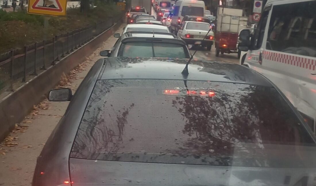 Bilecik Şoförler ve Otomobilciler Odası Başkanı Selman Aydeniz, Hamsu Köprüsü