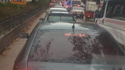 Bilecik Şoförler ve Otomobilciler Odası Başkanı Selman Aydeniz, Hamsu Köprüsü