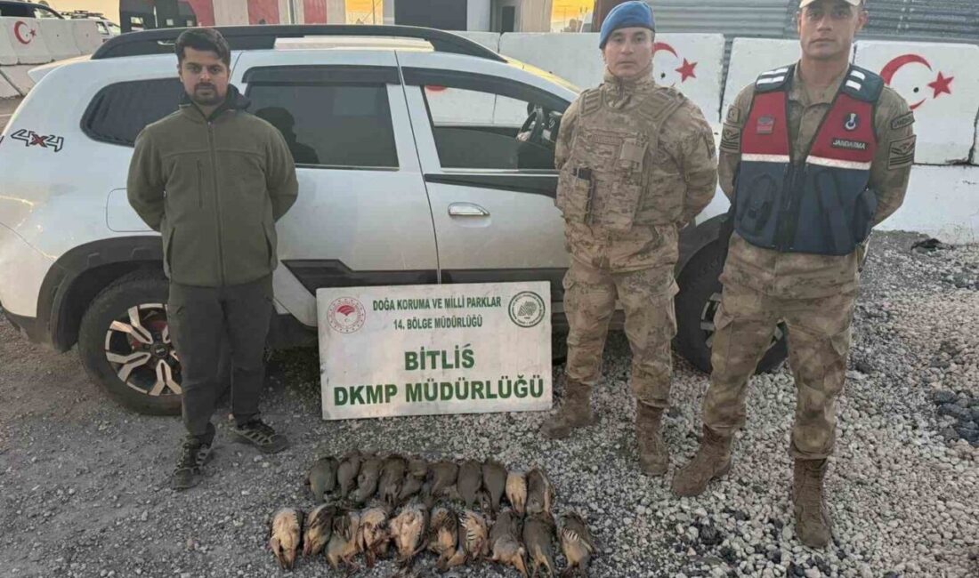 Adilcevaz Jandarma Karakol Komutanlığı ekipleri ile Doğa Koruma ve Milli
