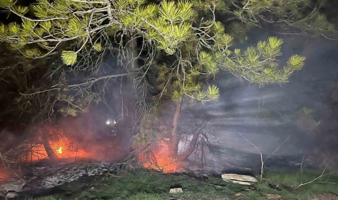 Mudurnu ilçesine bağlı Gürçam Köyü yakınlarındaki ormanlık alanda meydana gelen