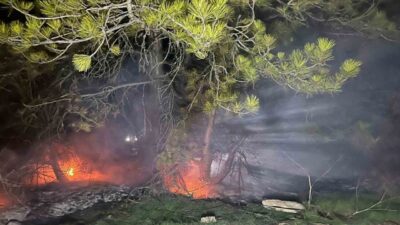 Mudurnu ilçesine bağlı Gürçam Köyü yakınlarındaki ormanlık alanda meydana gelen