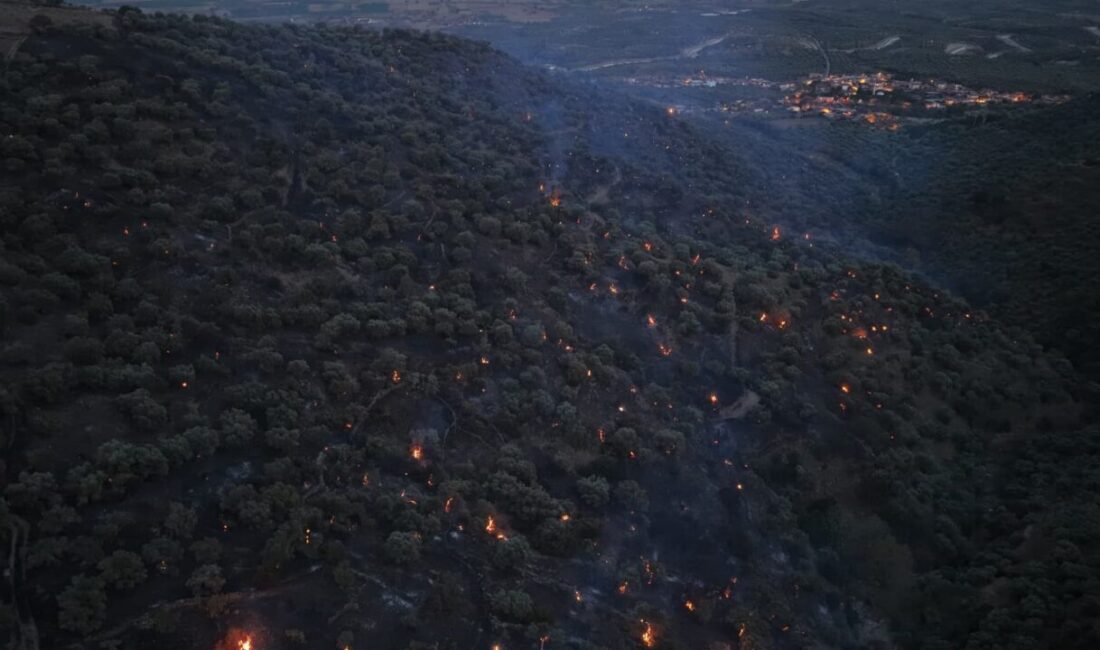 Aydın’ın Bozdoğan ilçesinde zirai alanda çıkıp ormana sıçrayan yangında söndürme
