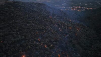 Aydın’ın Bozdoğan ilçesinde zirai alanda çıkıp ormana sıçrayan yangında söndürme
