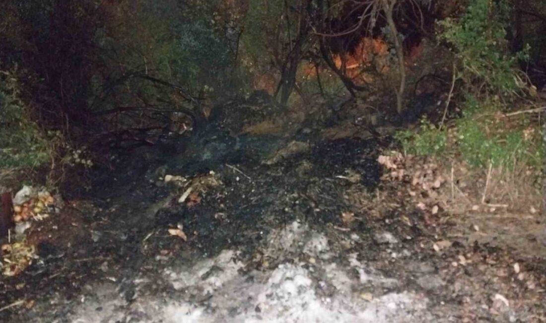 Bucak ilçesi, Burdur’da gece saatlerinde Taşyayla köyünde çıkan arazi yangını,