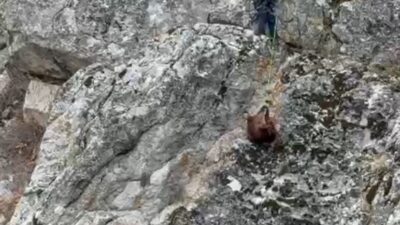 Bucak ilçesi Kartallı Dağı’nda mahsur kalan keçiler, itfaiye ekiplerinin uzun