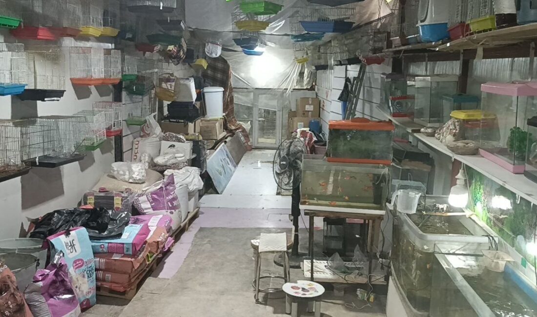 Adıyaman merkezinde, Eskisaray Mahallesi Sağlık Ocağı Caddesi’nde bulunan bir petshop’tan