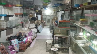 Adıyaman merkezinde, Eskisaray Mahallesi Sağlık Ocağı Caddesi’nde bulunan bir petshop’tan