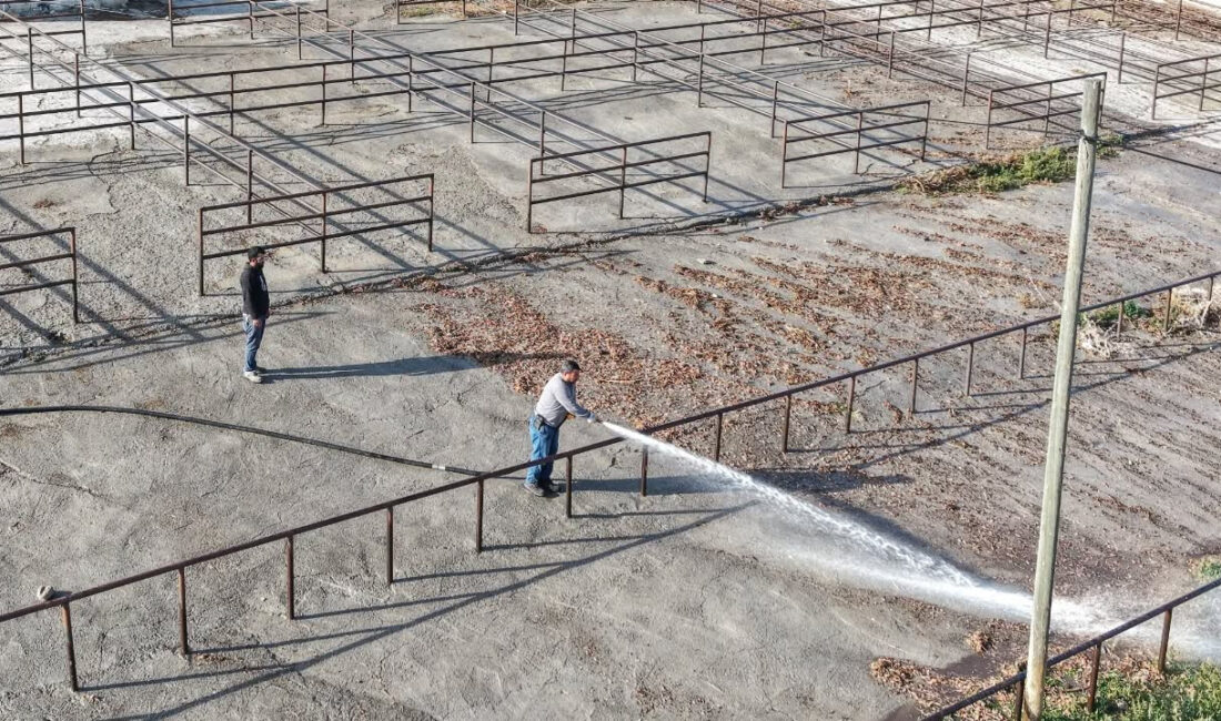 Çekerek Belediyesi’nden önemli bir duyuru geldi: Şap Hastalığı nedeniyle bir