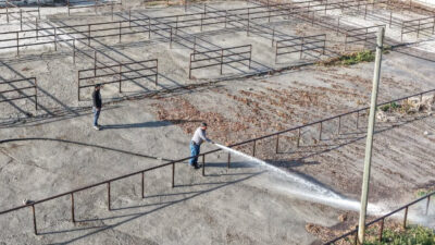 Çekerek Belediyesi’nden önemli bir duyuru geldi: Şap Hastalığı nedeniyle bir
