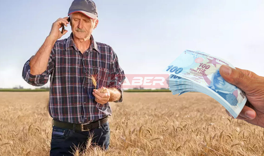 Yozgat İl Tarım ve Orman Müdürlüğü, bitkisel üretimde verimliliği artırmayı