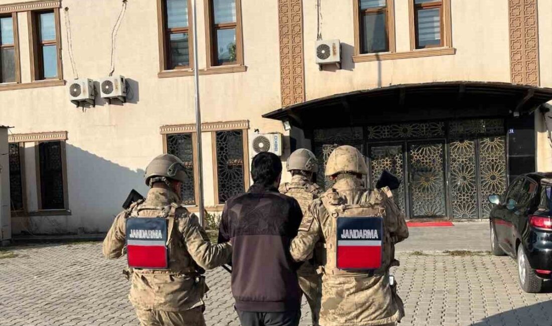 Muş İl Jandarma Komutanlığı ekipleri tarafından yürütülen operasyon sonucunda, 4