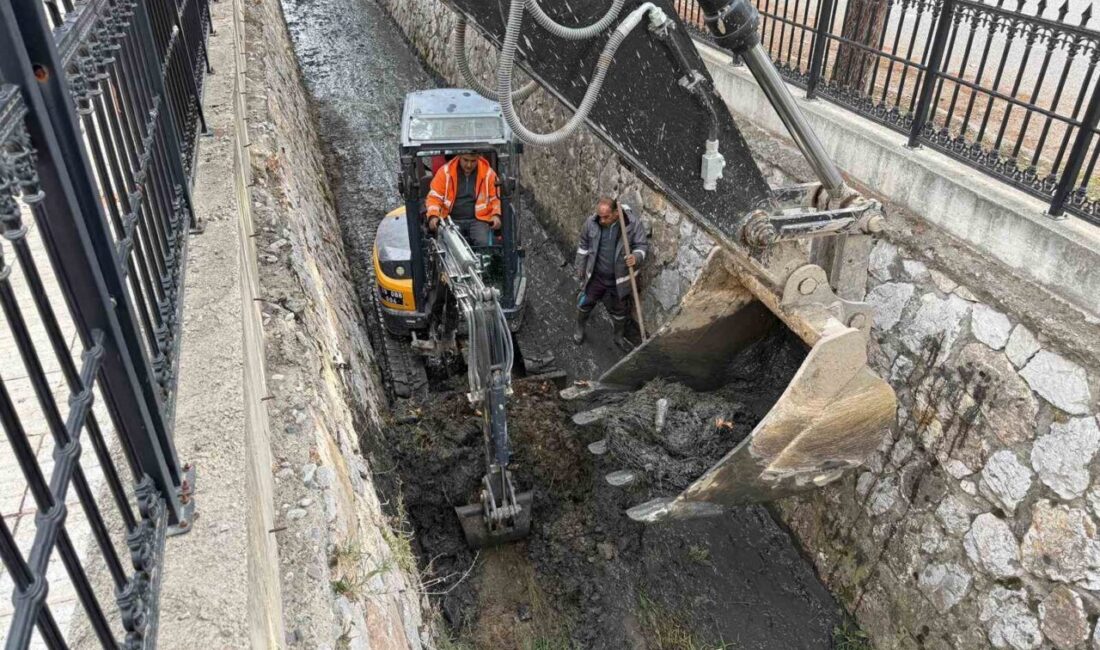 Çorum Belediyesi ekipleri, çevre ve insan sağlığını tehdit eden olumsuzlukları