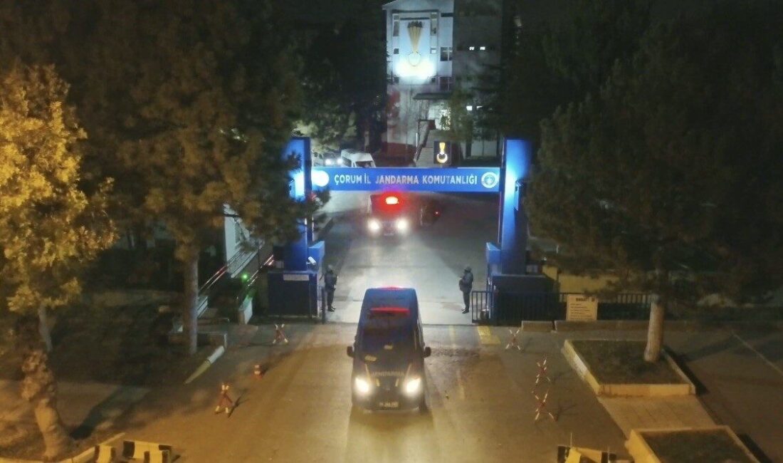 Çorum’da jandarma ekipleri tarafından düzenlenen operasyonlarda, 736 bin 217 adet