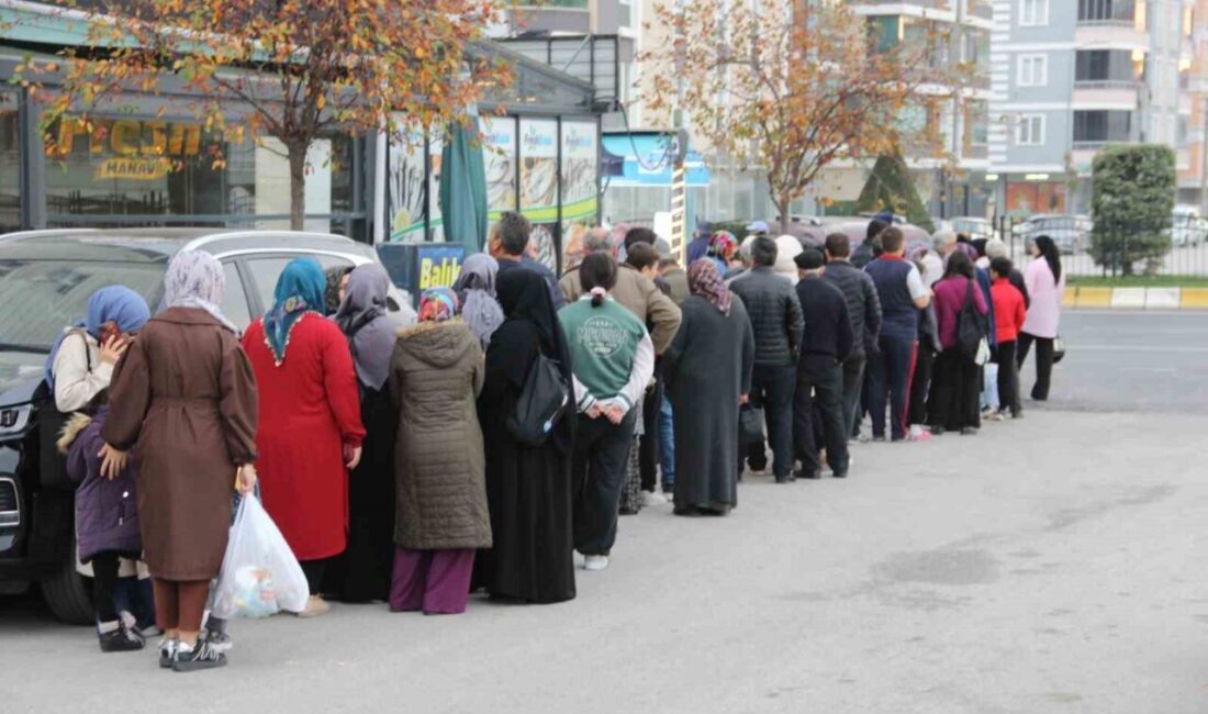 Çorum’da kilogramı 40 TL’ye düşen hamsiden satın almak isteyen vatandaşlar