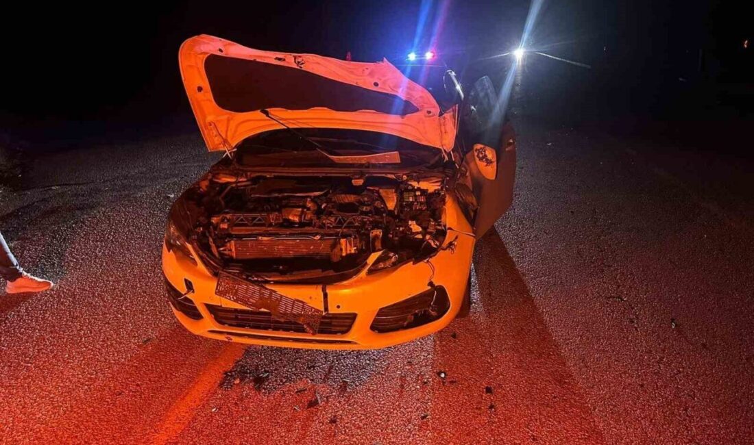 Çorum’un Alaca ilçesinde yola çıkan danaya çarpan otomobildeki 2 kişi