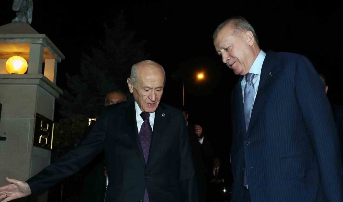 Cumhurbaşkanı Recep Tayyip Erdoğan, Milliyetçi Hareket Partisi (MHP) Genel Başkanı