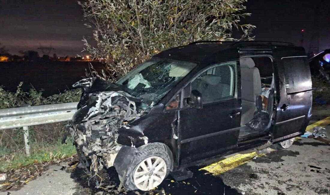 Sakarya ilinin Akyazı ilçesinde meydana gelen trafik kazasında bir kişi
