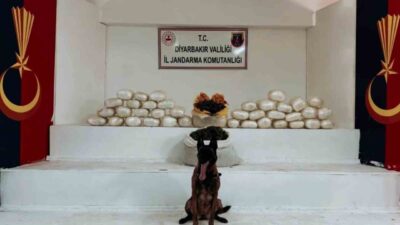Diyarbakır’ın Lice ilçesinde jandarma ekipleri tarafından gerçekleştirilen operasyonda 470 kilogram