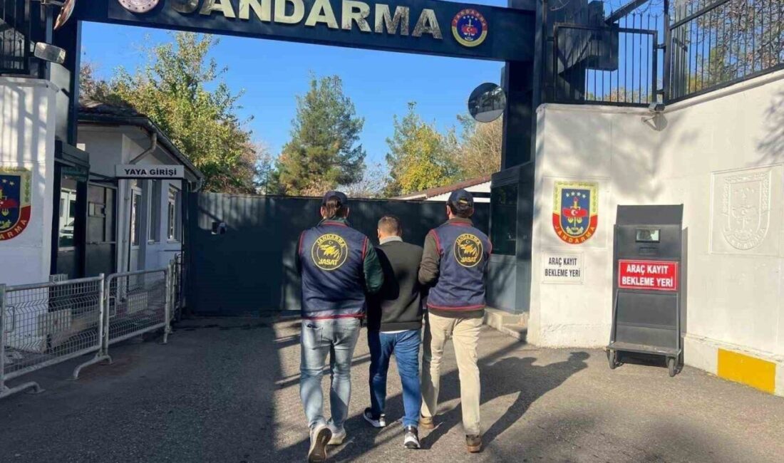 Diyarbakır’da 8 yıldır hırsızlık suçundan aranan bir kişi, Jandarma ekipleri