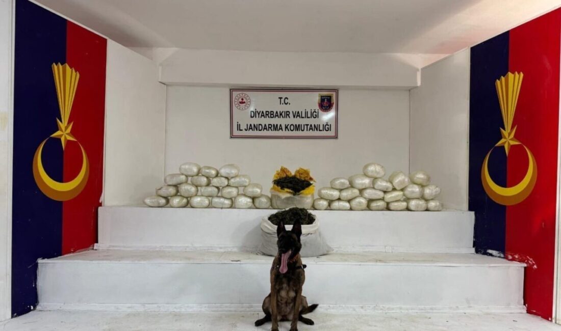 Diyarbakır’da, Jandarma ekipleri tarafından gerçekleştirilen uyuşturucu operasyonunda 40 kişi hakkında