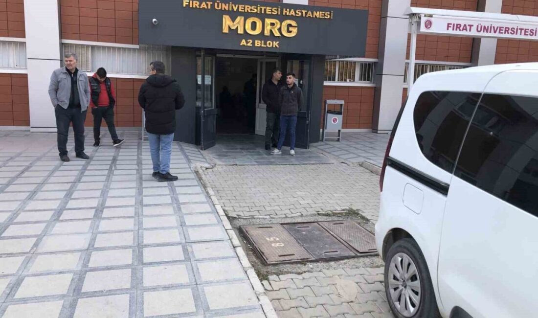 Elazığ’da, Kadına Yönelik Şiddete Karşı Uluslararası Mücadele Günü’nde, üç çocuk