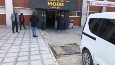 Elazığ’da, Kadına Yönelik Şiddete Karşı Uluslararası Mücadele Günü’nde, üç çocuk