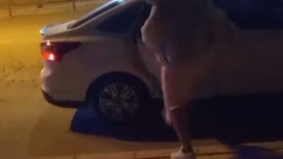Elazığ’da bir kadın, Çaydaçıra Mahallesi’nde bir kişi ile yaşadığı tartışmanın