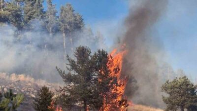 Erzurum’un Şenkaya ilçesinde meydana gelen orman yangınlarından ikisi kontrol altına
