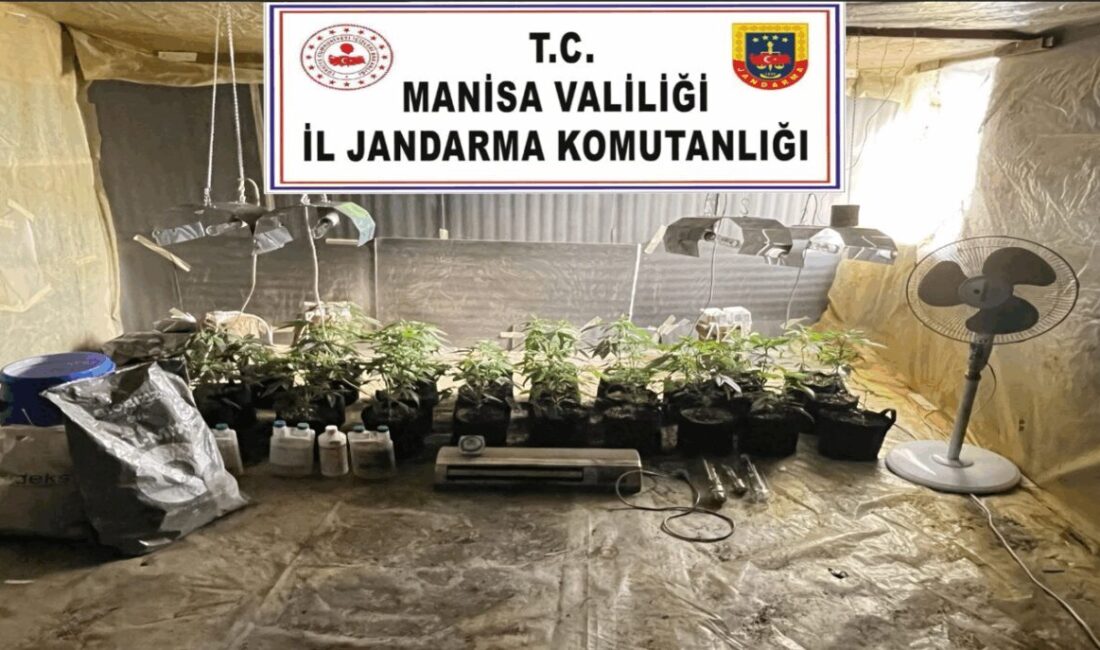 Manisa’nın Akhisar ilçesinde, evinde özel bir iklimlendirme sistemi oluşturarak kenevir