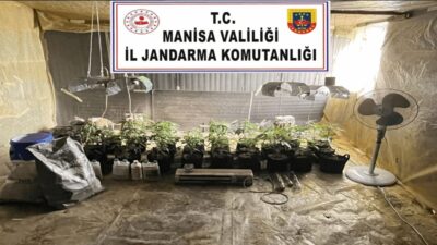 Manisa’nın Akhisar ilçesinde, evinde özel bir iklimlendirme sistemi oluşturarak kenevir